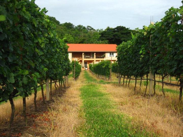Granmonte Wine Cottage Phayayen Luaran gambar