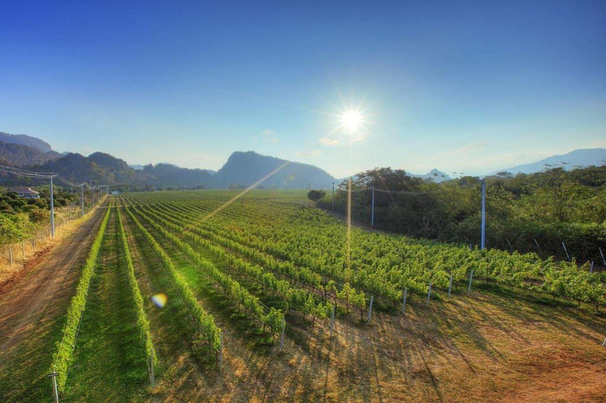 Granmonte Wine Cottage Phayayen Luaran gambar