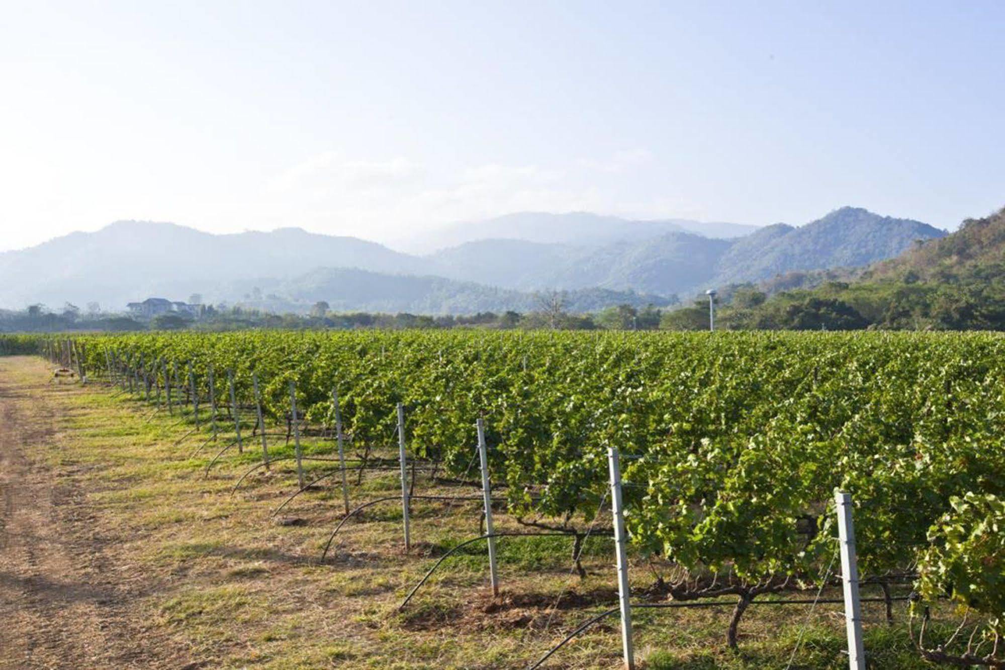 Granmonte Wine Cottage Phayayen Luaran gambar